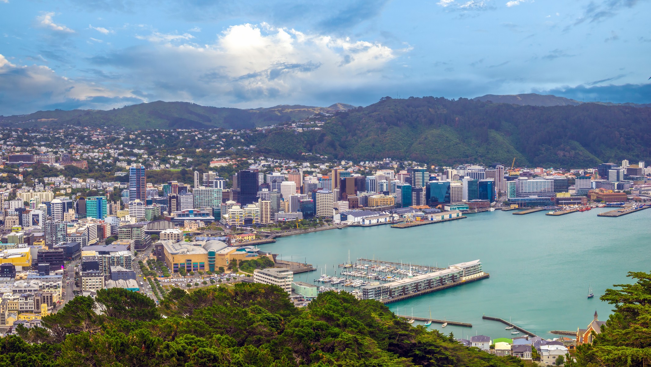 Wellington harbour & city